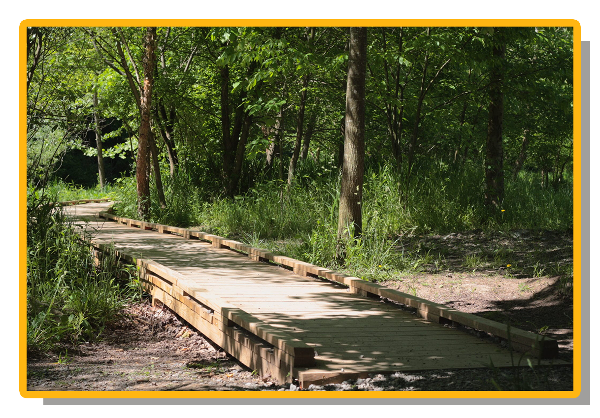 Nine Mile Run Trail at Frick Park. Nine Mile Run Trail at Frick Park