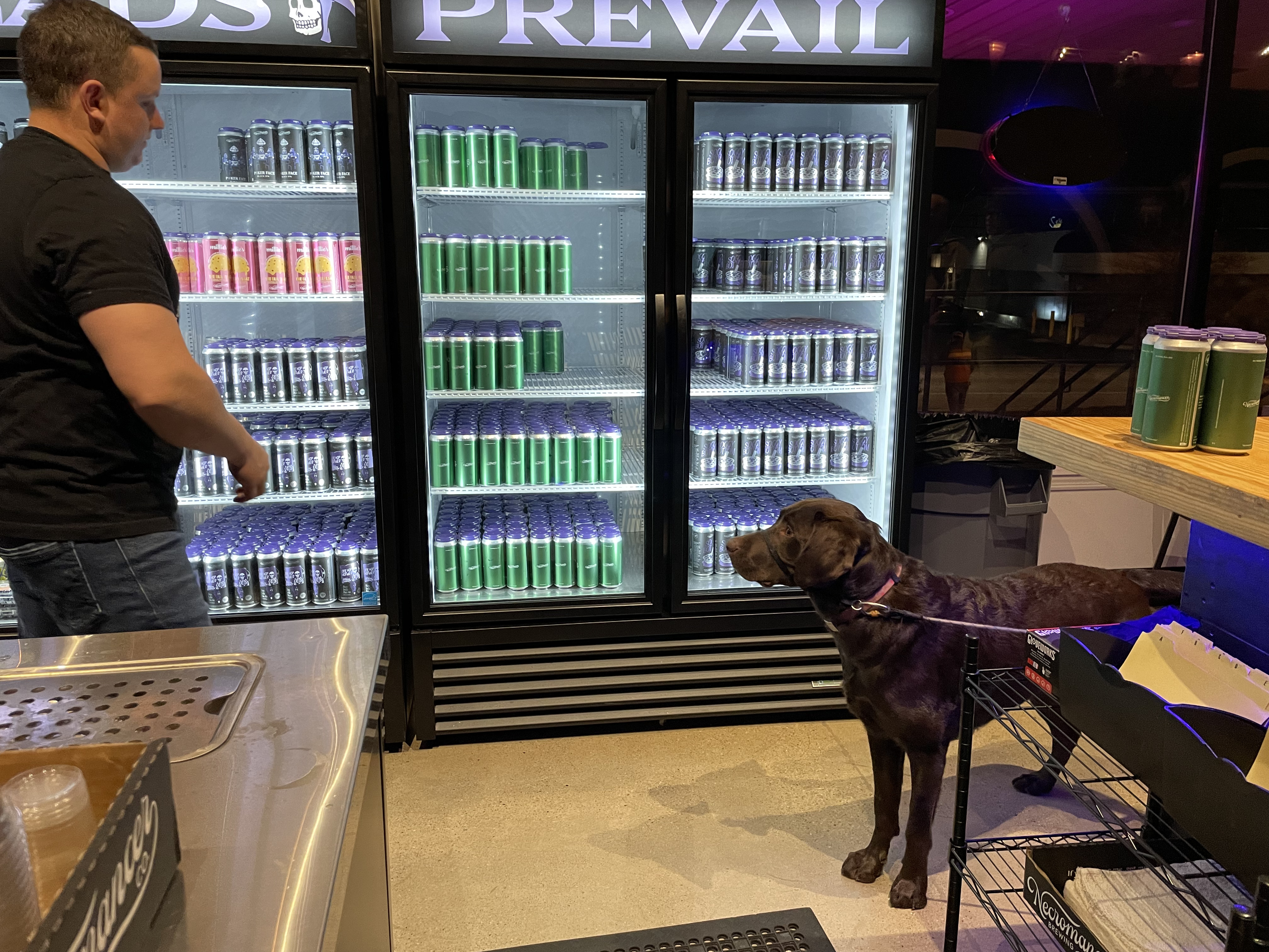 A man, his dog and beer at Necromancer Brewing In Ross Township, Pa. 