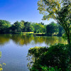 2023 Allegheny County North Park Lake (Summer) - Photos_ AcrossNorthHills-25