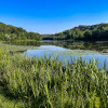 2023 Allegheny County North Park Lake (Summer) - Photos_ AcrossNorthHills-21