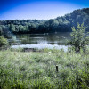 2023 Allegheny County North Park Lake (Summer) - Photos_ AcrossNorthHills-22