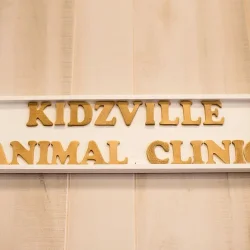 kidzville-6