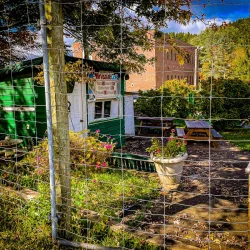 North Park Miniature Golf (Images_ AcrossNorth Hills)-03