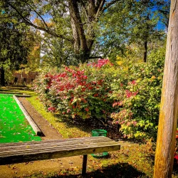 North Park Miniature Golf (Images_ AcrossNorth Hills)-26