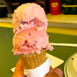 isalys-food-4