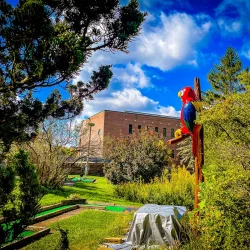 North Park Miniature Golf (Images_ AcrossNorth Hills)-20