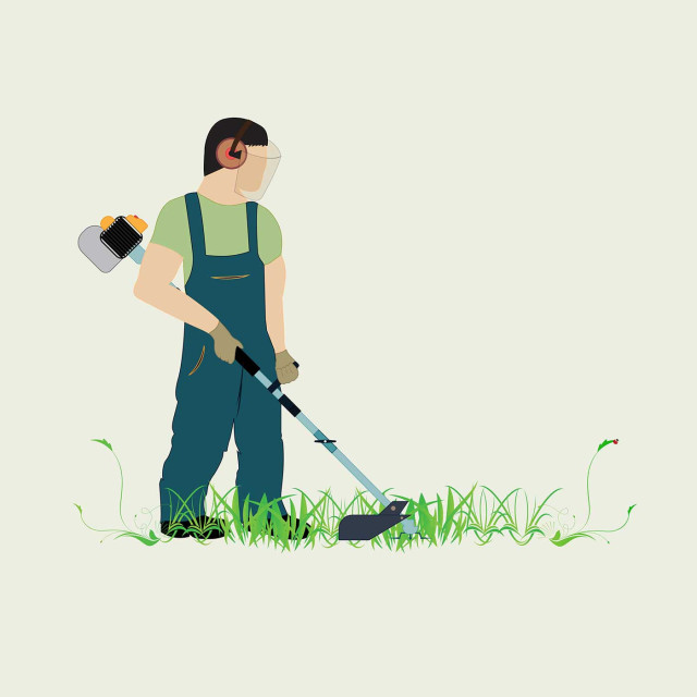 Sage Lawn and Landscaping