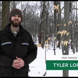 Winter Tree Identification in Hartwood Acres