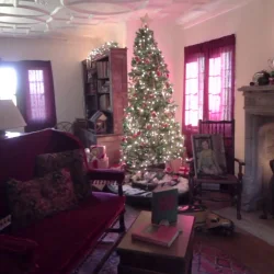 Hartwood Acres Holiday Mansion Tours